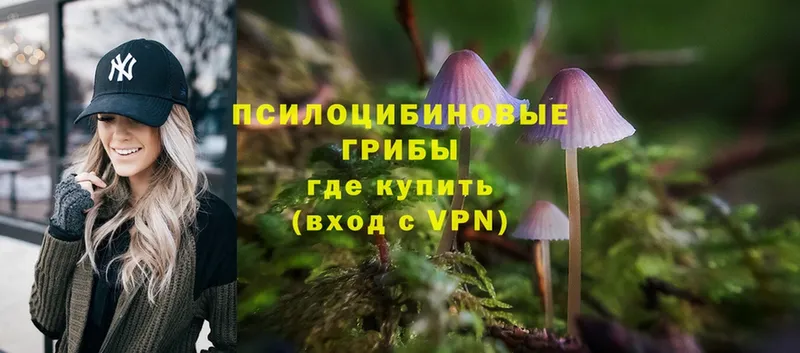 кракен зеркало  нарко площадка наркотические препараты  Галлюциногенные грибы MAGIC MUSHROOMS  Власиха 